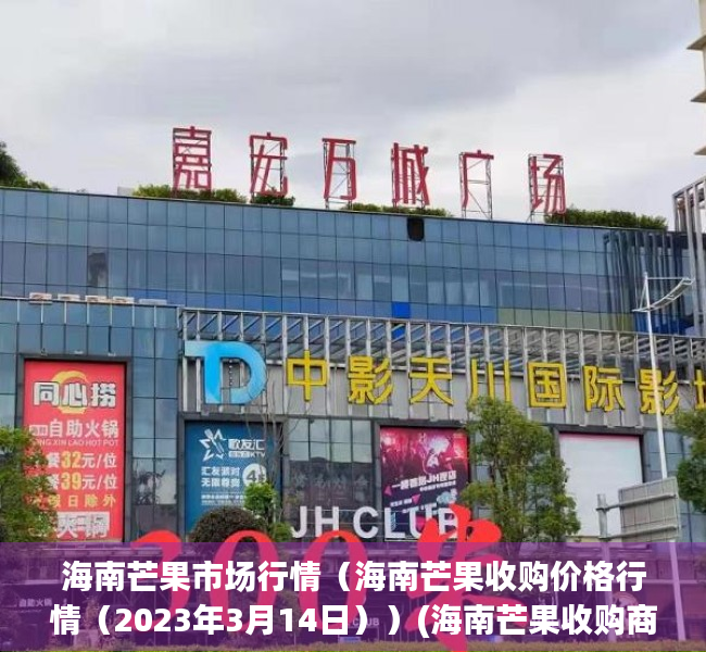 海南芒果市场行情（海南芒果收购价格行情（2023年3月14日））(海南芒果收购商电话号码)