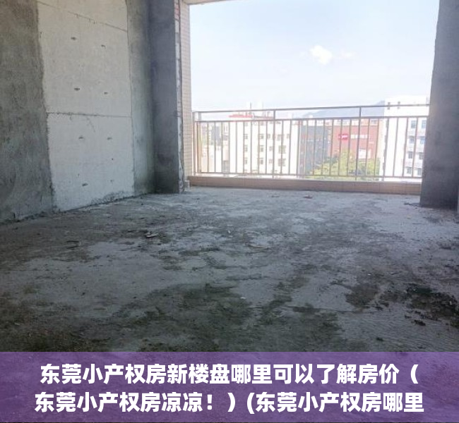 东莞小产权房新楼盘哪里可以了解房价（东莞小产权房凉凉！）(东莞小产权房哪里有卖)
