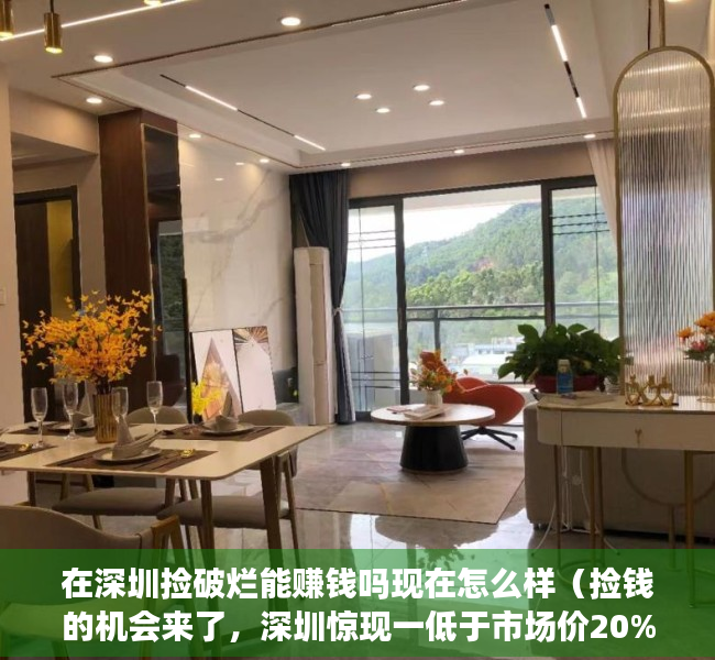 在深圳捡破烂能赚钱吗现在怎么样（捡钱的机会来了，深圳惊现一低于市场价20%村委统建楼，仅售七天）