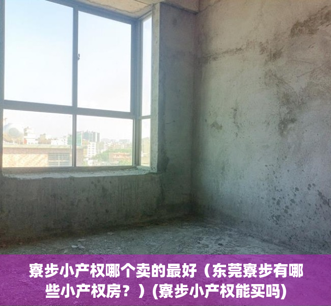 寮步小产权哪个卖的最好（东莞寮步有哪些小产权房？）(寮步小产权能买吗)