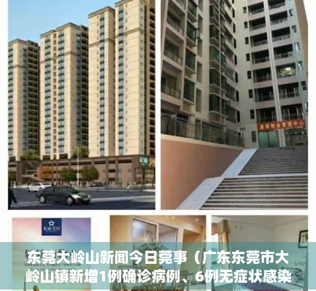 东莞大岭山新闻今日莞事（广东东莞市大岭山镇新增1例确诊病例、6例无症状感染者，详情公布）