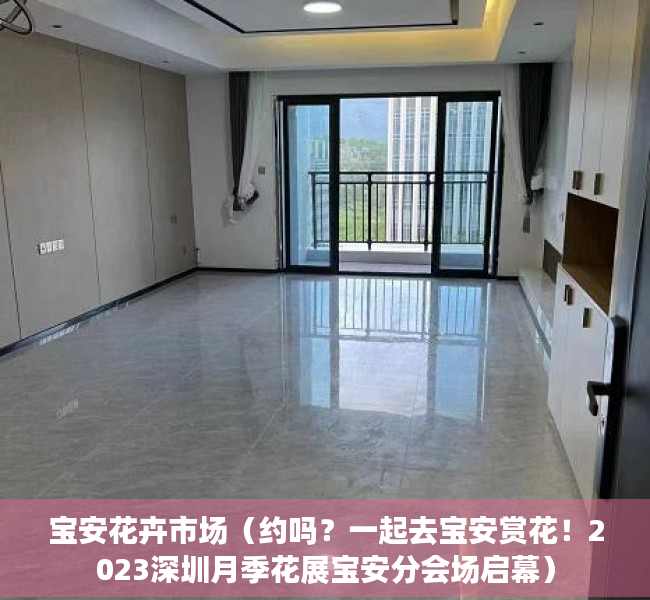 宝安花卉市场（约吗？一起去宝安赏花！2023深圳月季花展宝安分会场启幕）