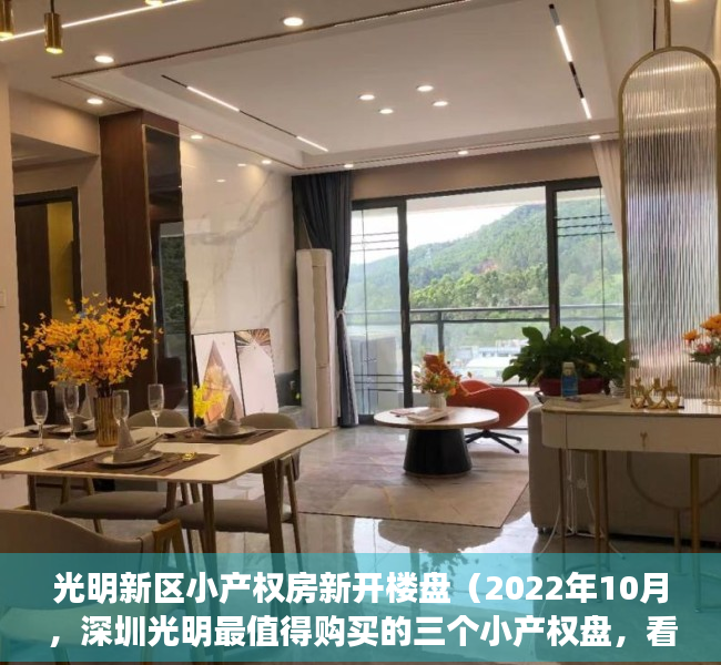 光明新区小产权房新开楼盘（2022年10月，深圳光明最值得购买的三个小产权盘，看完再刷卡！）