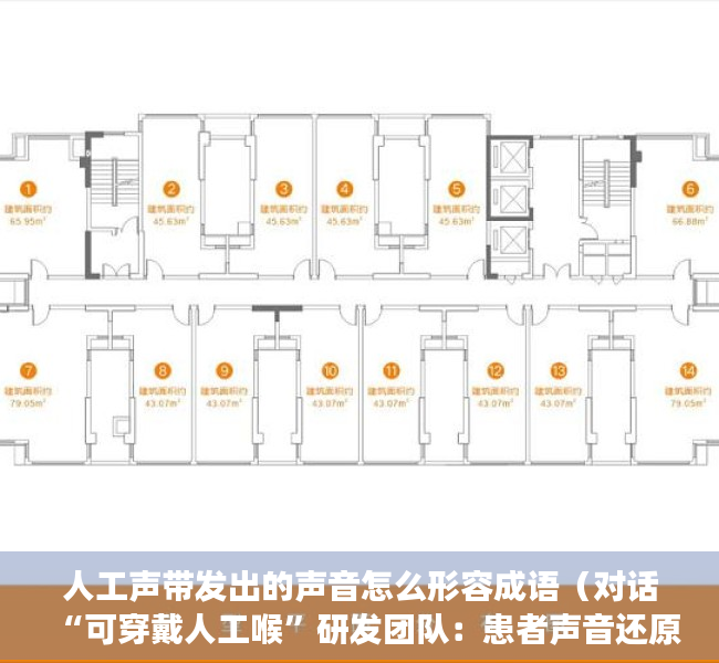 人工声带发出的声音怎么形容成语（对话“可穿戴人工喉”研发团队：患者声音还原准确率超90%）