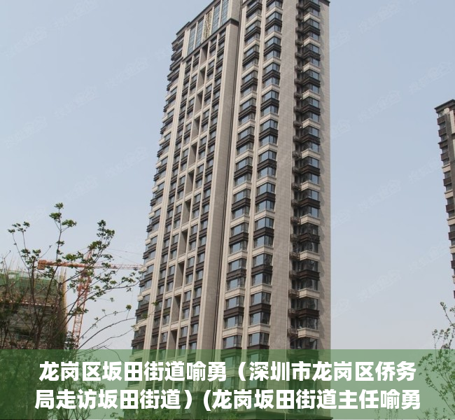 龙岗区坂田街道喻勇（深圳市龙岗区侨务局走访坂田街道）(龙岗坂田街道主任喻勇介绍)