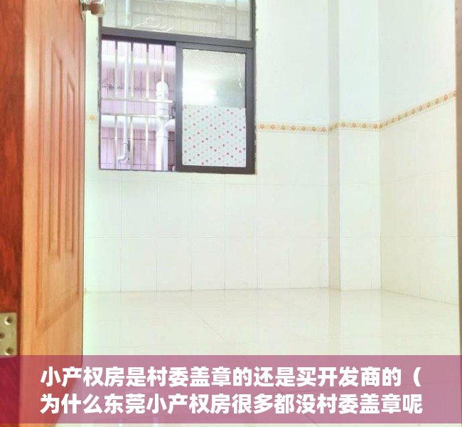 小产权房是村委盖章的还是买开发商的（为什么东莞小产权房很多都没村委盖章呢？）