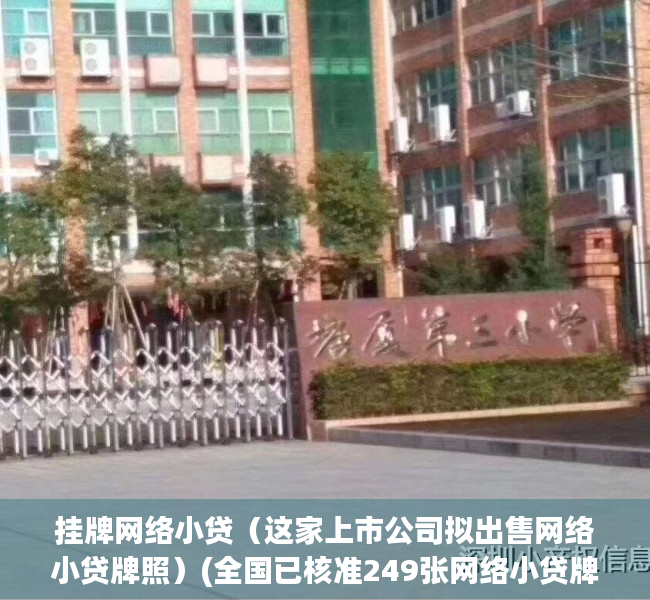 挂牌网络小贷（这家上市公司拟出售网络小贷牌照）(全国已核准249张网络小贷牌照)