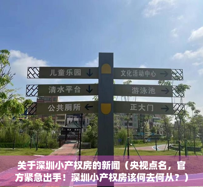 关于深圳小产权房的新闻（央视点名，官方紧急出手！深圳小产权房该何去何从？）