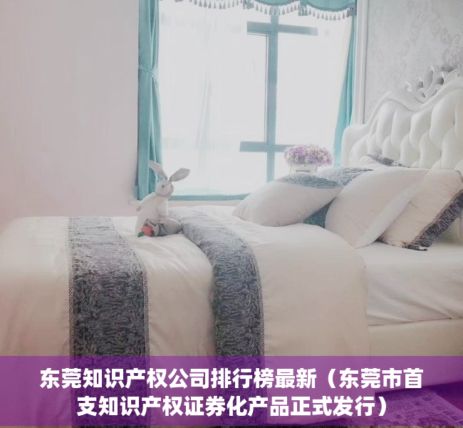 东莞知识产权公司排行榜最新（东莞市首支知识产权证券化产品正式发行）