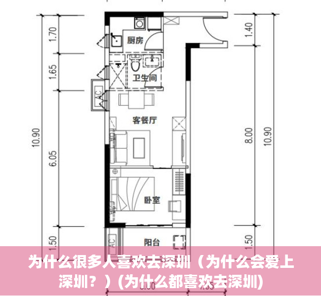 为什么很多人喜欢去深圳（为什么会爱上深圳？）(为什么都喜欢去深圳)