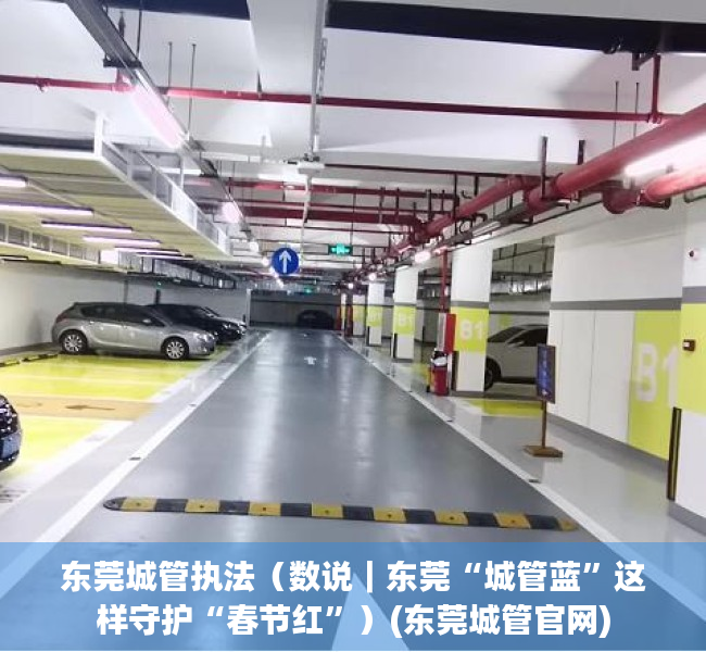 东莞城管执法（数说｜东莞“城管蓝”这样守护“春节红”）(东莞城管官网)