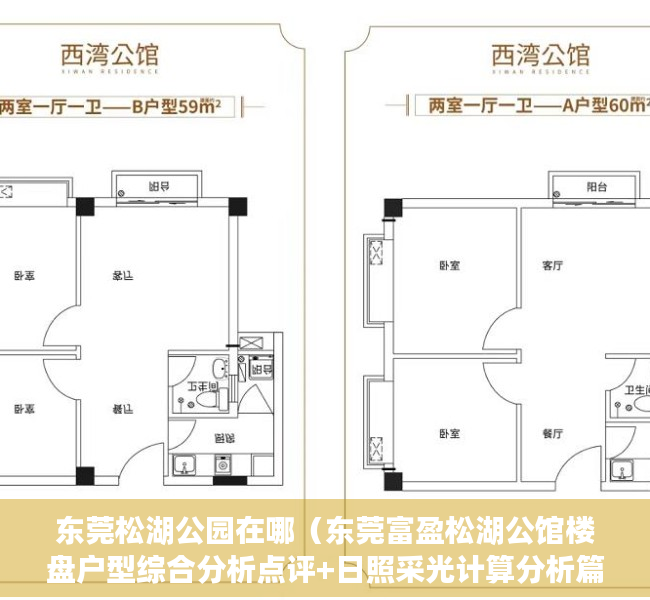 东莞松湖公园在哪（东莞富盈松湖公馆楼盘户型综合分析点评+日照采光计算分析篇！）