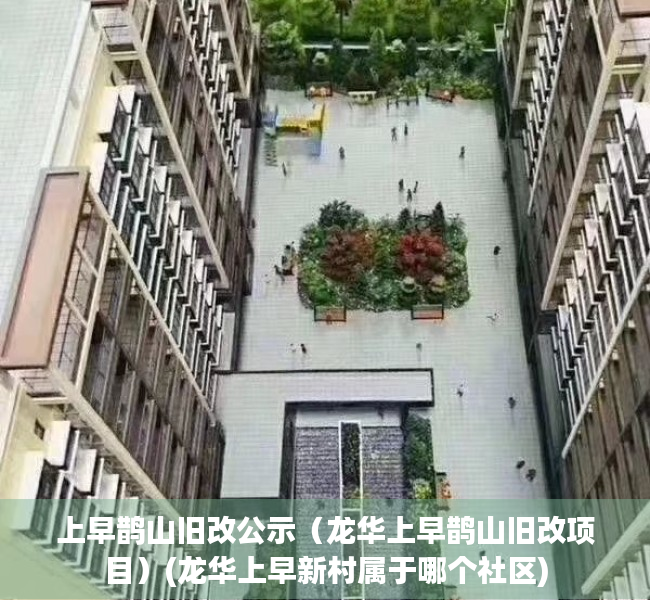 上早鹊山旧改公示（龙华上早鹊山旧改项目）(龙华上早新村属于哪个社区)