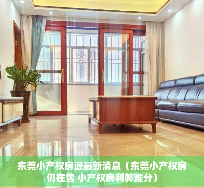 东莞小产权房源最新消息（东莞小产权房仍在售 小产权房利弊难分）