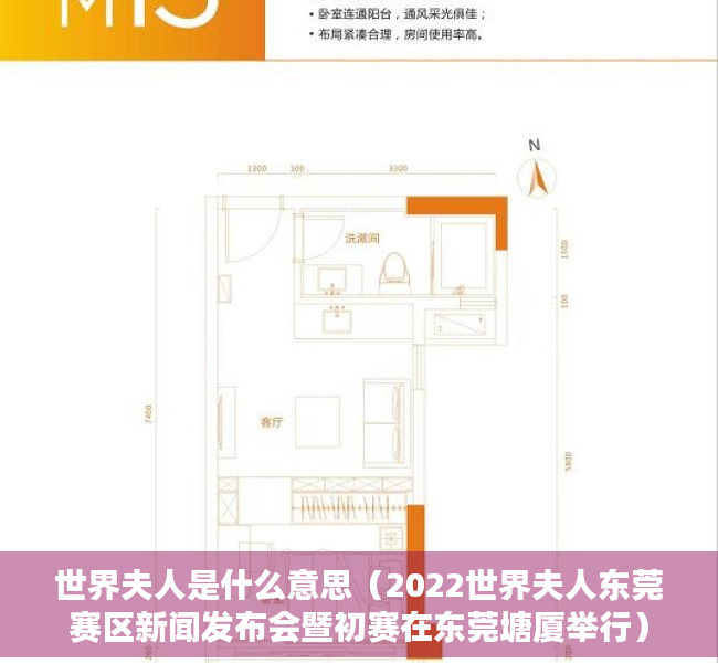 世界夫人是什么意思（2022世界夫人东莞赛区新闻发布会暨初赛在东莞塘厦举行）