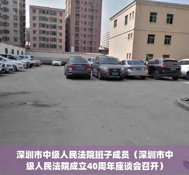 深圳市中级人民法院班子成员（深圳市中级人民法院成立40周年座谈会召开）