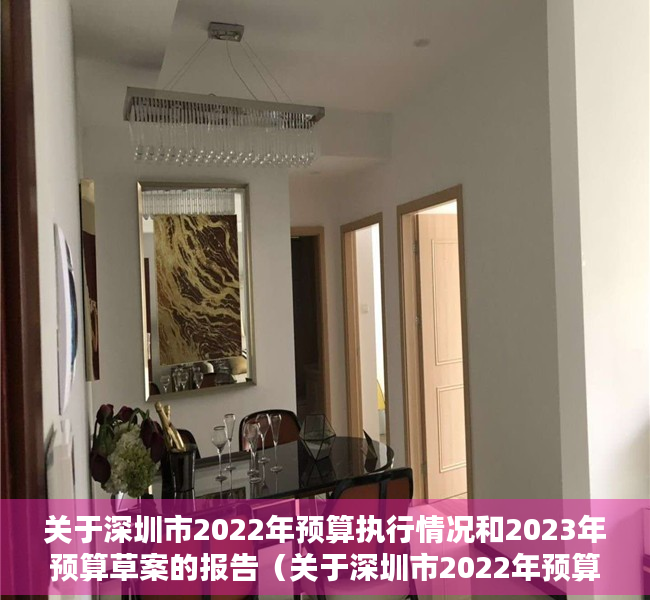关于深圳市2022年预算执行情况和2023年预算草案的报告（关于深圳市2022年预算执行情况和2023年预算草案的报告）