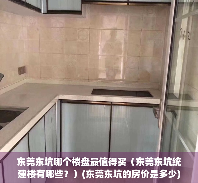 东莞东坑哪个楼盘最值得买（东莞东坑统建楼有哪些？）(东莞东坑的房价是多少)