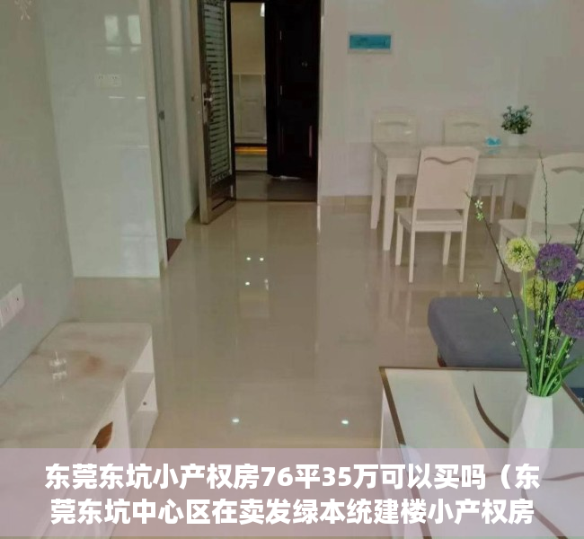 东莞东坑小产权房76平35万可以买吗（东莞东坑中心区在卖发绿本统建楼小产权房出售东坑骏达警务室附近在卖发绿本统建楼小产权房出售现房可分期）
