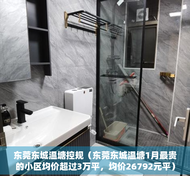 东莞东城温塘控规（东莞东城温塘1月最贵的小区均价超过3万平，均价26792元平）