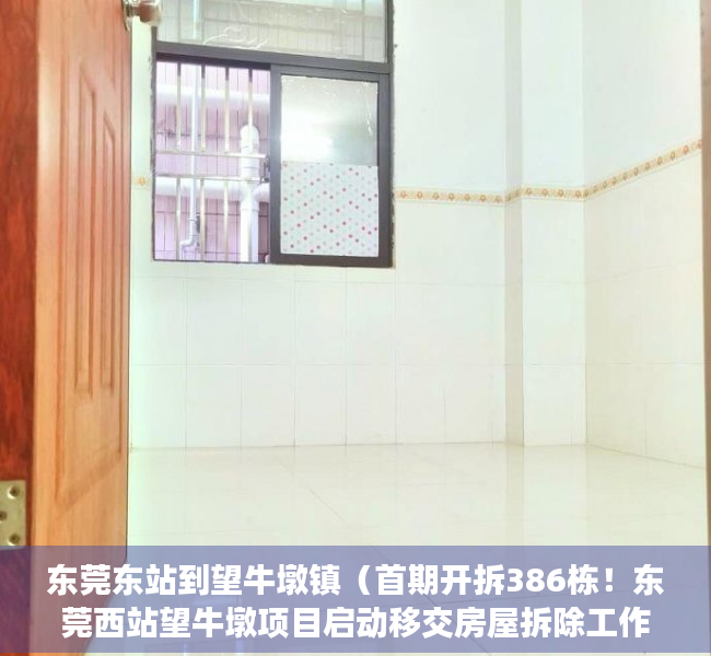 东莞东站到望牛墩镇（首期开拆386栋！东莞西站望牛墩项目启动移交房屋拆除工作）