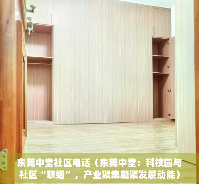 东莞中堂社区电话（东莞中堂：科技园与社区“联姻”，产业聚集凝聚发展动能）