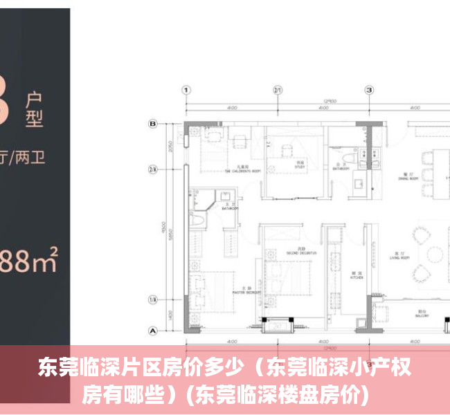 东莞临深片区房价多少（东莞临深小产权房有哪些）(东莞临深楼盘房价)