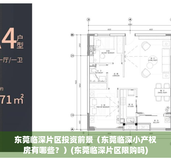 东莞临深片区投资前景（东莞临深小产权房有哪些？）(东莞临深片区限购吗)