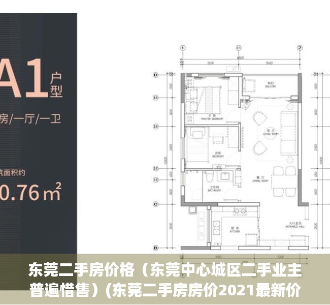 东莞二手房价格（东莞中心城区二手业主普遍惜售）(东莞二手房房价2021最新价格走势)