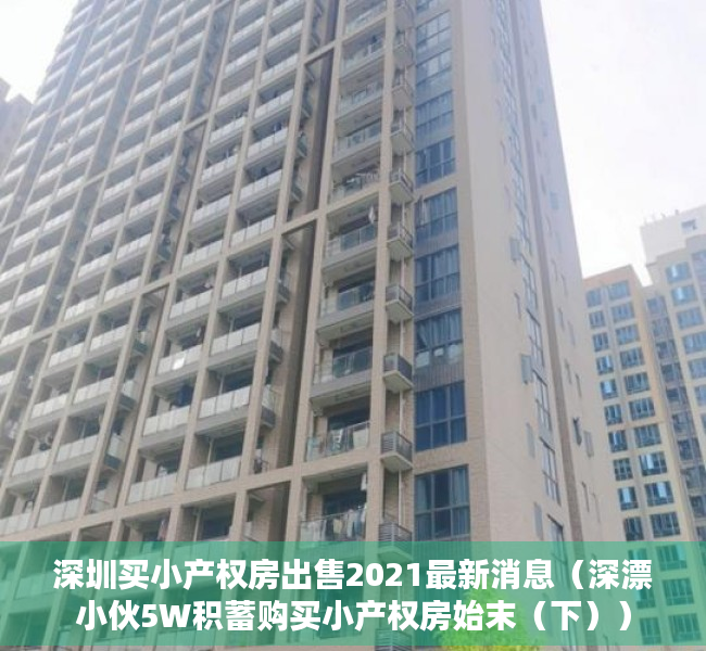 深圳买小产权房出售2021最新消息（深漂小伙5W积蓄购买小产权房始末（下））