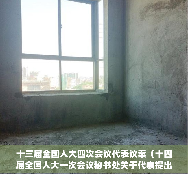 十三届全国人大四次会议代表议案（十四届全国人大一次会议秘书处关于代表提出议案处理意见的报告）