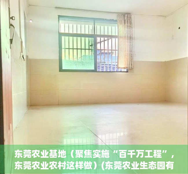 东莞农业基地（聚焦实施“百千万工程”，东莞农业农村这样做）(东莞农业生态园有哪些)