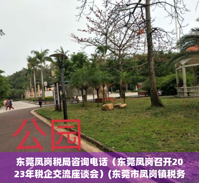 东莞凤岗税局咨询电话（东莞凤岗召开2023年税企交流座谈会）(东莞市凤岗镇税务局)