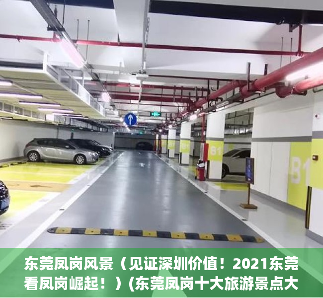 东莞凤岗风景（见证深圳价值！2021东莞看凤岗崛起！）(东莞凤岗十大旅游景点大全)