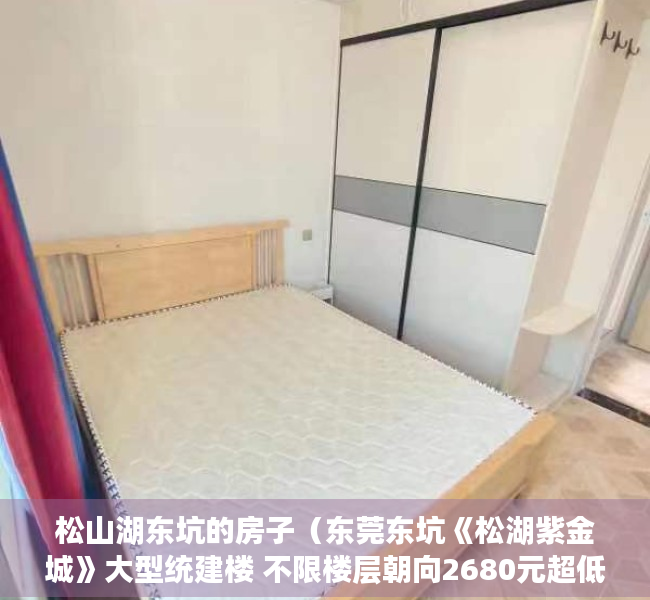 松山湖东坑的房子（东莞东坑《松湖紫金城》大型统建楼 不限楼层朝向2680元超低价）