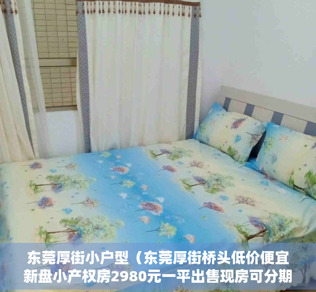 东莞厚街小户型（东莞厚街桥头低价便宜新盘小产权房2980元一平出售现房可分期 厚街新塘小学、厚街桥头小学、东莞市厚街镇新塘小学）