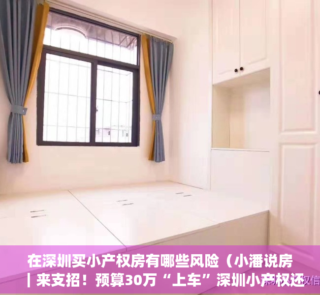 在深圳买小产权房有哪些风险（小潘说房｜来支招！预算30万“上车”深圳小产权还是东莞红本？）
