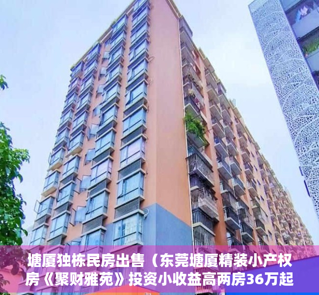 塘厦独栋民房出售（东莞塘厦精装小产权房《聚财雅苑》投资小收益高两房36万起）