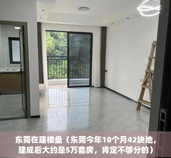 东莞在建楼盘（东莞今年10个月42块地，建成后大约是5万套房，肯定不够分的）