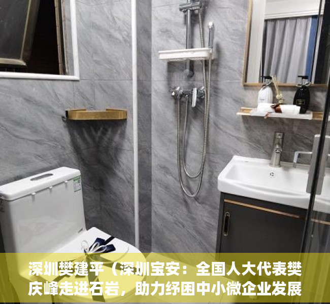 深圳樊建平（深圳宝安：全国人大代表樊庆峰走进石岩，助力纾困中小微企业发展）