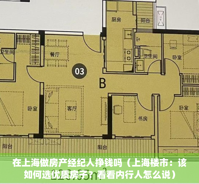 在上海做房产经纪人挣钱吗（上海楼市：该如何选优质房子？看看内行人怎么说）