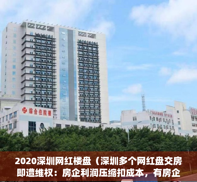 2020深圳网红楼盘（深圳多个网红盘交房即遭维权：房企利润压缩扣成本，有房企贴钱保交付）