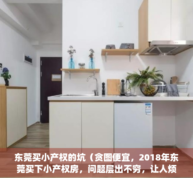 东莞买小产权的坑（贪图便宜，2018年东莞买下小产权房，问题层出不穷，让人烦恼不断）
