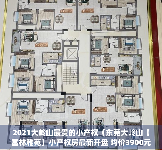 2021大岭山最贵的小产权（东莞大岭山【富林雅苑】小产权房最新开盘 均价3900元）