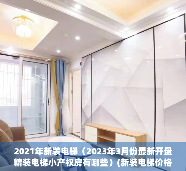 2021年新装电梯（2023年3月份最新开盘精装电梯小产权房有哪些）(新装电梯价格)