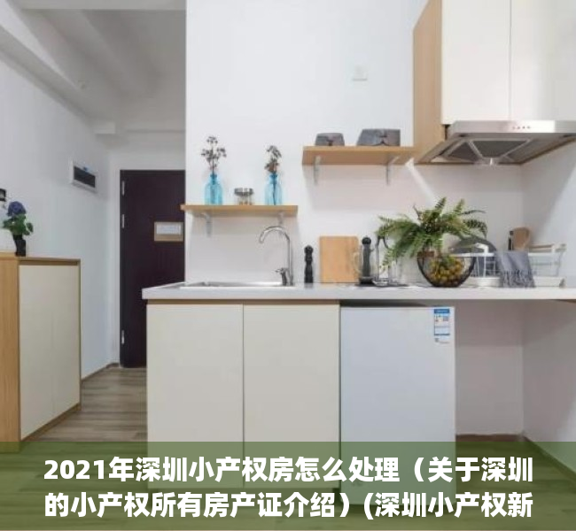 2021年深圳小产权房怎么处理（关于深圳的小产权所有房产证介绍）(深圳小产权新政)