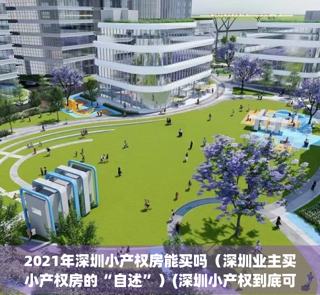 2021年深圳小产权房能买吗（深圳业主买小产权房的“自述”）(深圳小产权到底可以买吗)