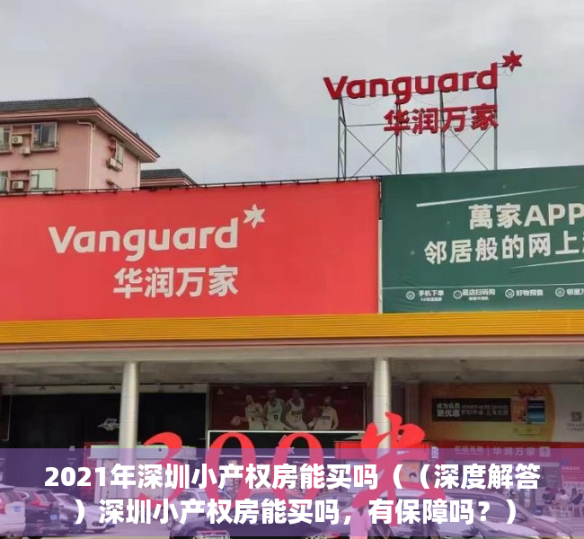 2021年深圳小产权房能买吗（（深度解答）深圳小产权房能买吗，有保障吗？）