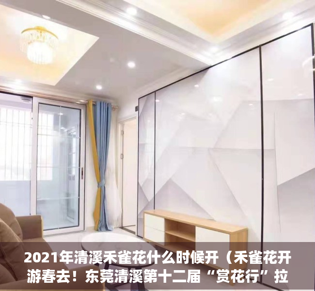 2021年清溪禾雀花什么时候开（禾雀花开游春去！东莞清溪第十二届“赏花行”拉开帷幕）