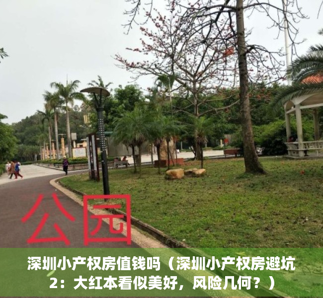深圳小产权房值钱吗（深圳小产权房避坑2：大红本看似美好，风险几何？）
